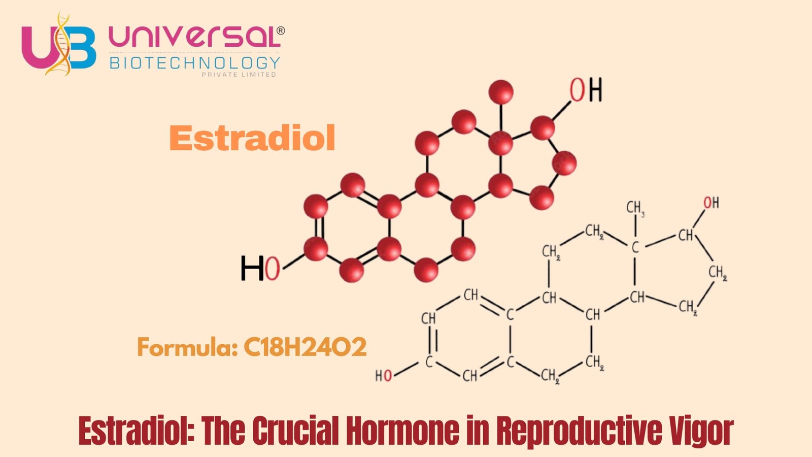 Estradiol: The Crucial Hormone in Reproductive Vigor