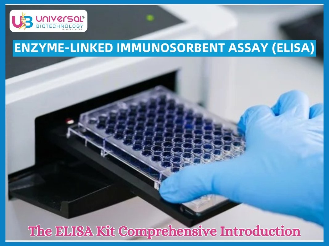 The ELISA Kit Comprehensive Introduction