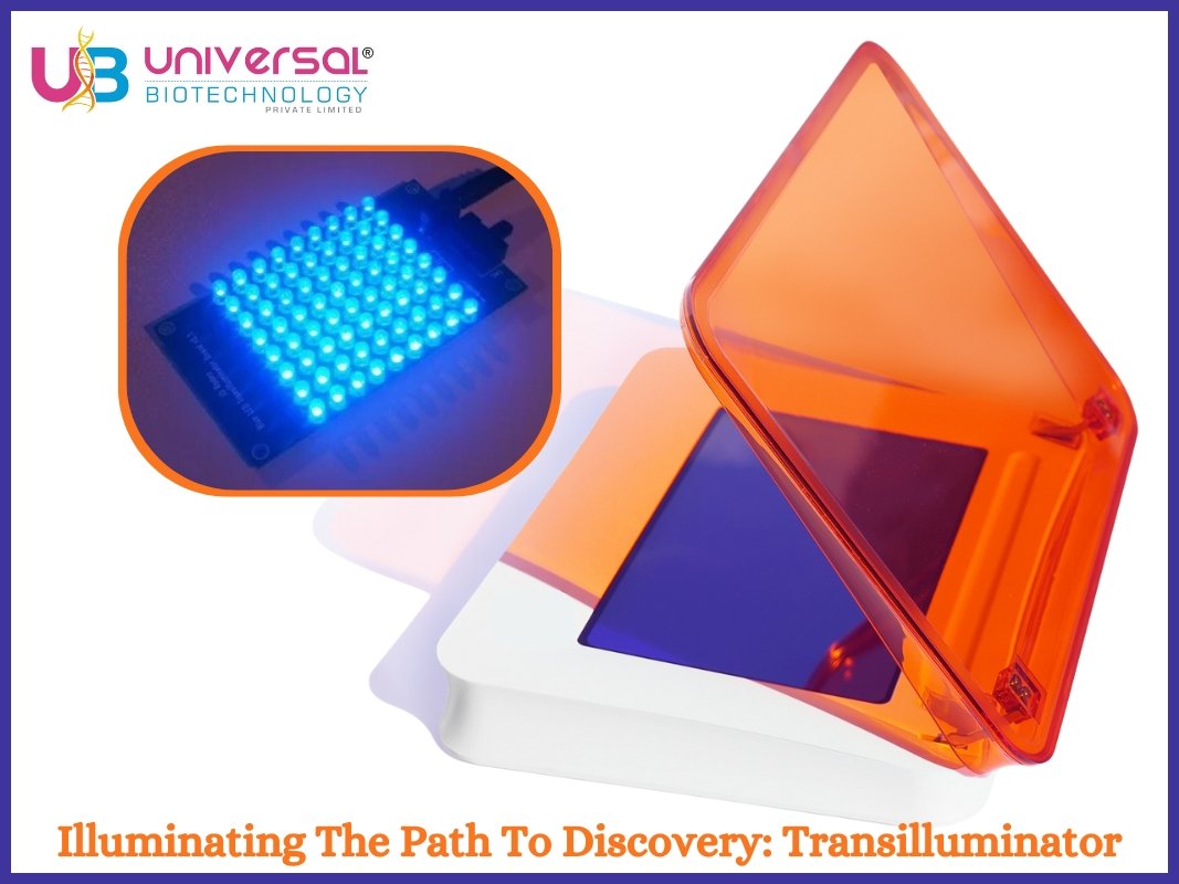 Illuminating the Path to discovery: Transilluminator