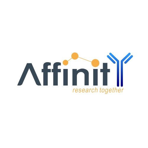 Affinity Biosciences Antibodies