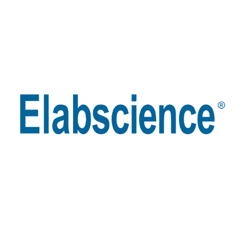 Elabscience Antibodies