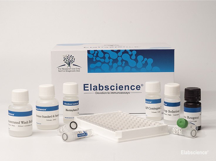 Mouse ALB(Albumin) ELISA Kit