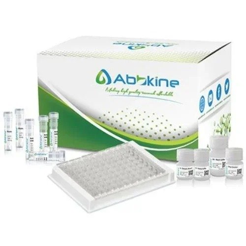 EliKine™ Free Thyroxine (fT4) ELISA Kit