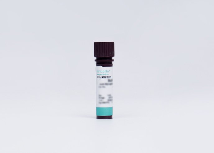 Anti-Nanobacteria Treatment Reagent, 200 ×