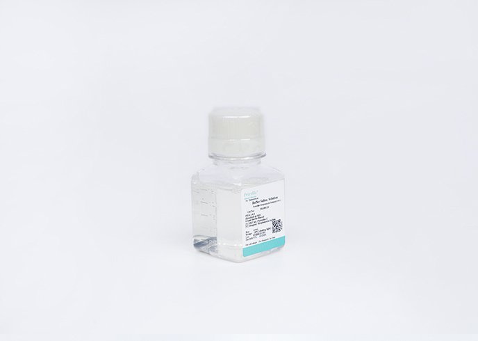 0.25% Trypsin Solution, Dissolved In PBS