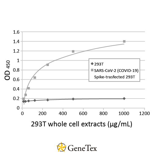 SARS-CoV-2 (COVID-19) Spike Antibody