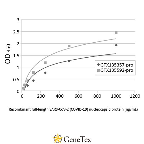 SARS-CoV-2 (COVID-19) Nucleocapsid Antibody [HL344]