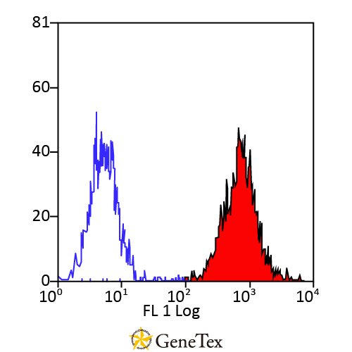 HLA-B7 Antibody [BB7.1]