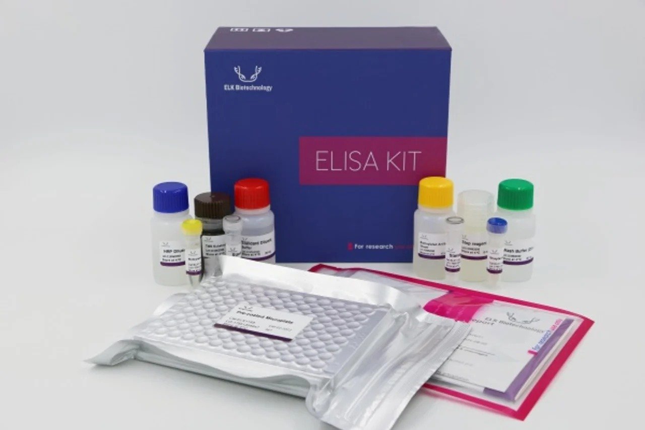 Mouse EPO (Erythropoietin) ELISA Kit